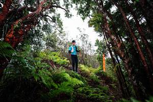 BIB: 
                            <button type="button" onclick="openModal(26201785)" class="btn btn-primary btn-sm float-right btn-popup" data-toggle="modal" data-target=".modal-high-quality">
                        <i class="fas fa-shopping-cart"></i> Add to Cart
                    </button>
                                            <button type="button" onclick="isThisMe(26201785, true)" class="btn btn-success btn-sm float-right btn-popup btn-isme hidden" data-toggle="tooltip" data-placement="bottom" title="นี่คือรูปของคุณใช่ไหม คลิกที่นี่เพื่อเอาเข้าอัลบั้ม">
                        <i class="fas fa-plus"></i> Add to album
                    </button>
                    <button type="button" onclick="isThisMe(26201785, false)" class="btn btn-warning btn-sm float-right btn-popup btn-isnotme hidden">
                        <i class="fas fa-ban"></i> Remove from album
                    </button>